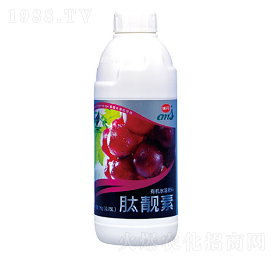 500g���n��-��Դ����