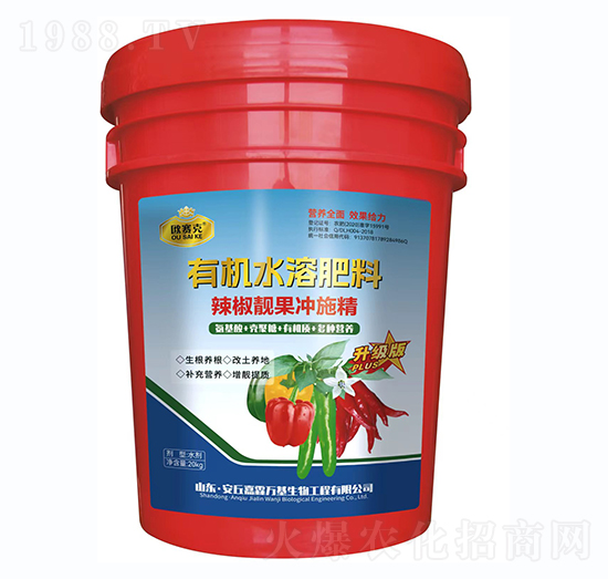 �����n���_ʩ��-�Wِ��-�����f��