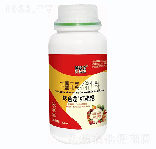 �Dɫ�����t�G�G-�Wِ��-�����f��