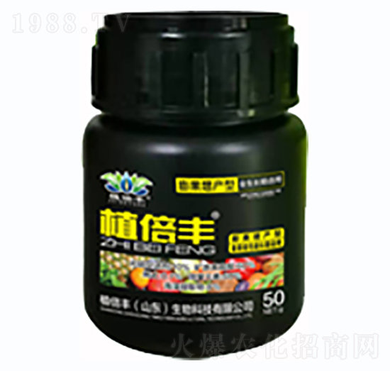 ���һСƿ-ֲ���S