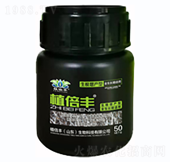 ����һСƿ-ֲ���S