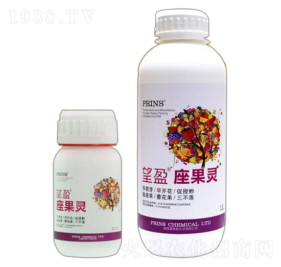 望盈座果靈-英國普林斯