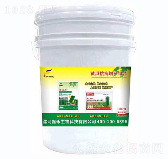 黃瓜抗病增產(chǎn)組合-綠田地-鑫禾生物
