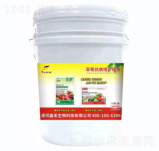草莓抗病增產(chǎn)組合-綠田地-鑫禾生物