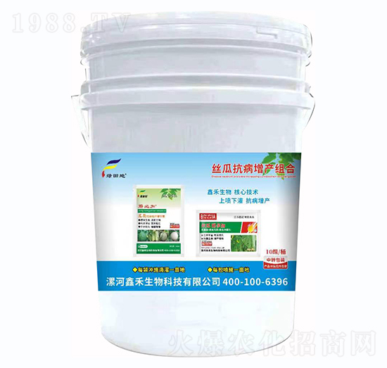 絲瓜抗病增產(chǎn)組合-綠田地-鑫禾生物
