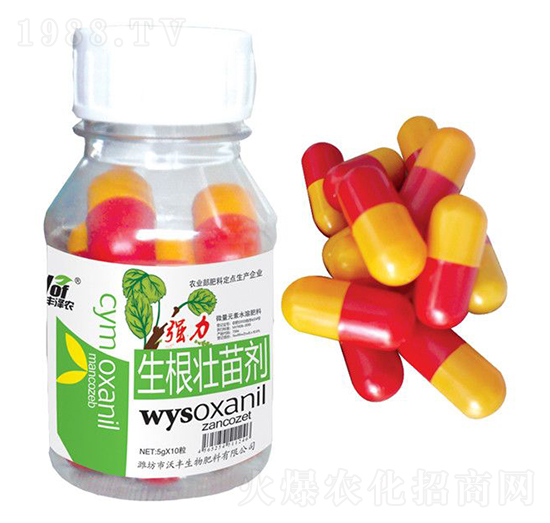 �����������焩-���S���r-���S����