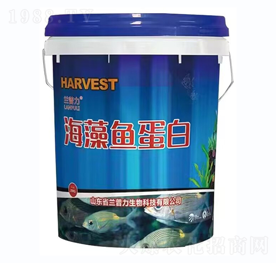 海藻魚(yú)蛋白-蘭普力