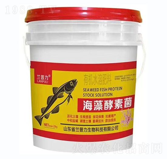 有機水溶肥-海藻酵素菌-蘭普力