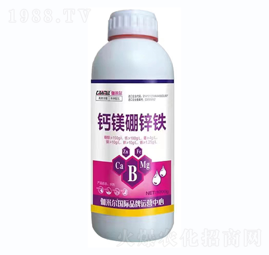 �}�V���\�F-٤�נ�-�_˼ķ