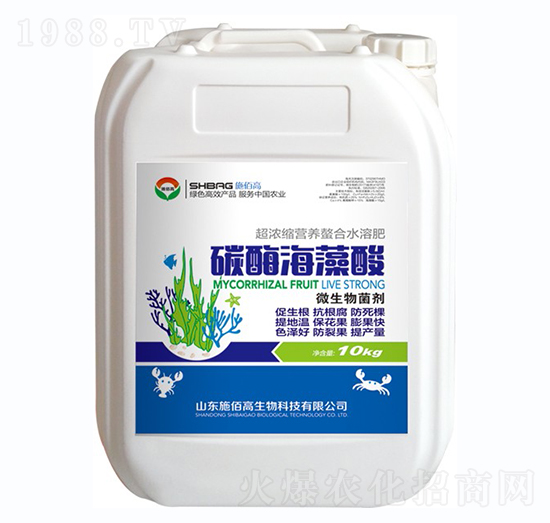 ̼ø������-ʩ�۸�