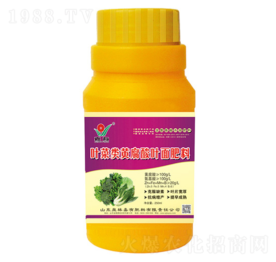 ƿ�b�~����S�����~�����-��Ȫ��