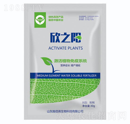 ������-��֮�-ʩ�۸�