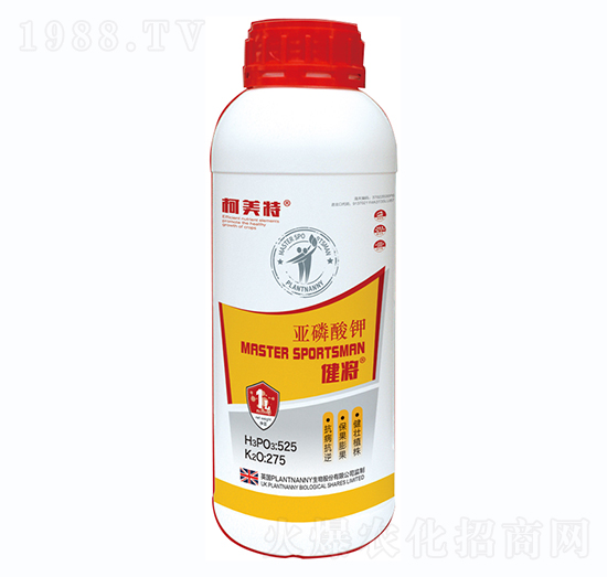 �������������-������