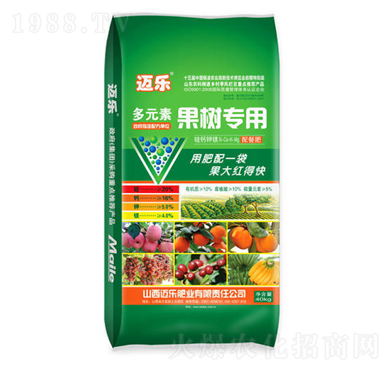 ��Ԫ�ع��䌣�÷�-�~��(l��)-�G��ɭ�r(n��ng)�I(y��)