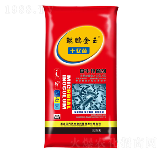 ʮ�|��΢�������-�����r(n��ng)�I(y��)