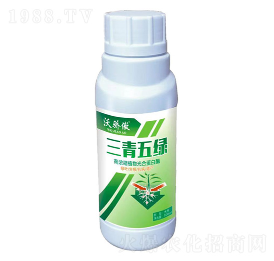 高濃縮植物光合蛋白酶-三青五綠-沃驕傲-金沃夫農業(yè)