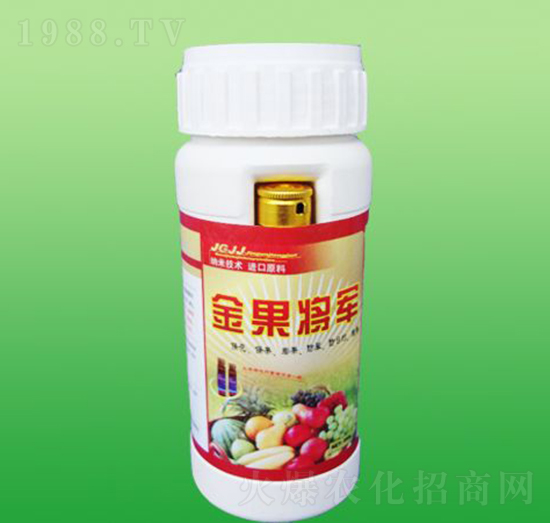 �����܊-ʩ����