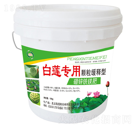 ��ɏ�������\�F�V��-���r����