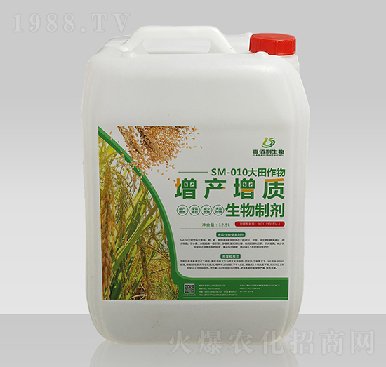 SM-010�����������a���|�����Ƅ�-�ΰ�������