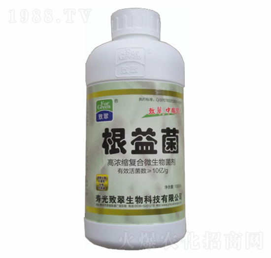 �ߝ�s�ͺ�΢�������-�����-�´�����