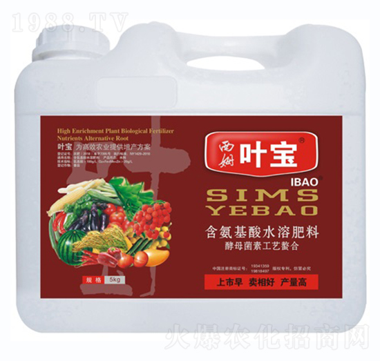 瓜菜專用含氨基酸水溶肥料-寶葉植物