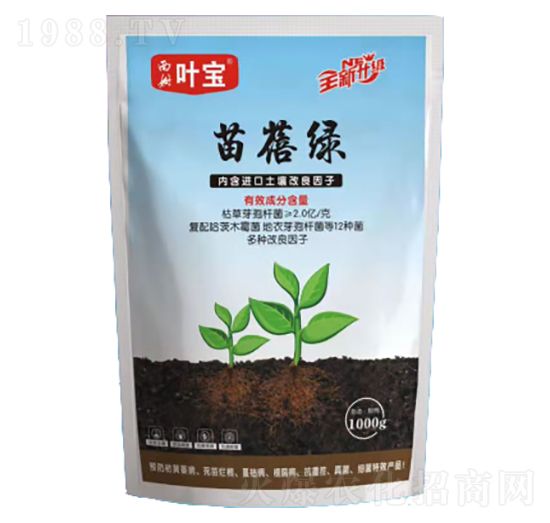 苗蓓綠-寶葉植物