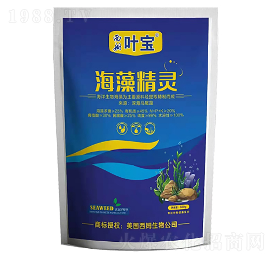 海藻精靈-寶葉植物