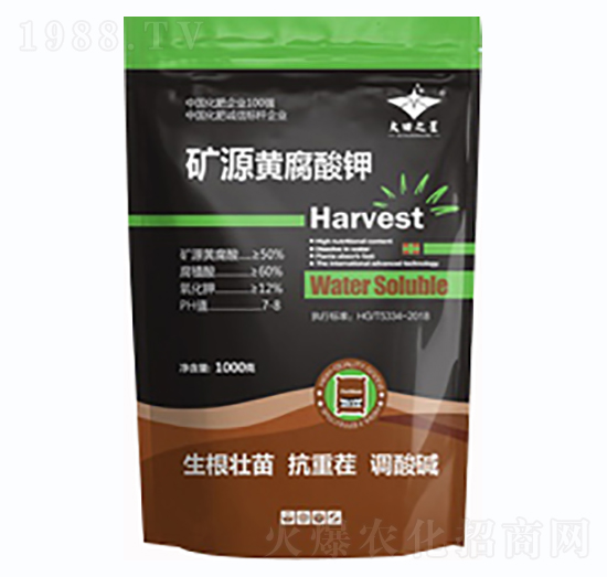 �VԴ�S�����-�º���