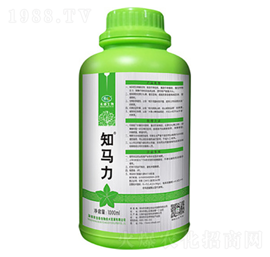 知馬力-禾迪