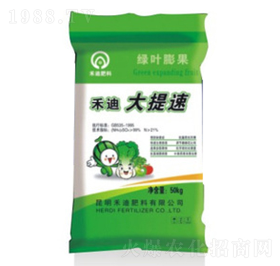 大提速-禾迪