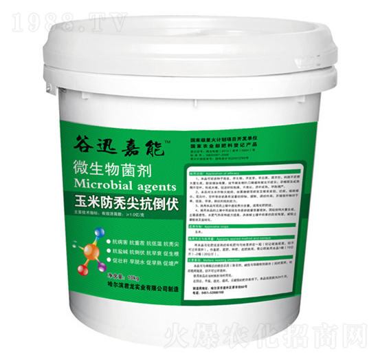 玉米防禿尖抗倒伏-微生物菌劑-君龍實業(yè)