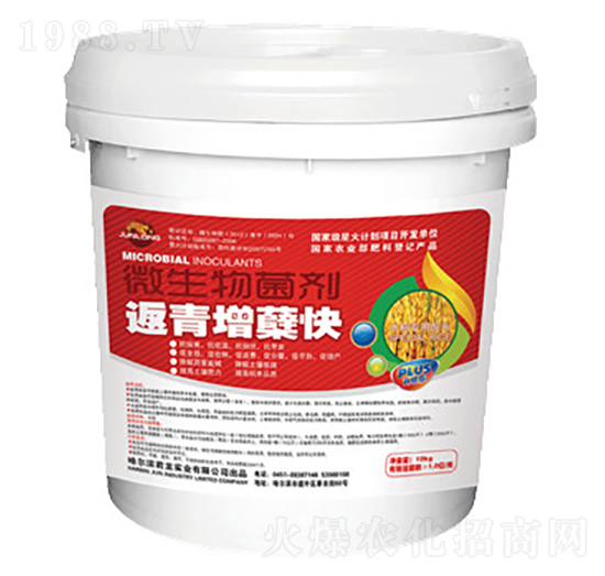 微生物菌劑-返青增蘗快-君龍實(shí)業(yè)