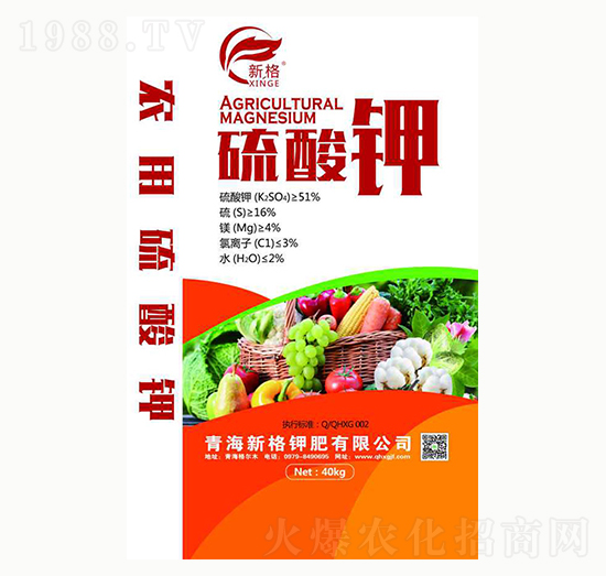 �����-�¸�