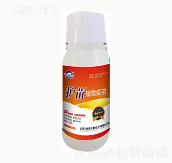 �o��ֲ������-��혻���