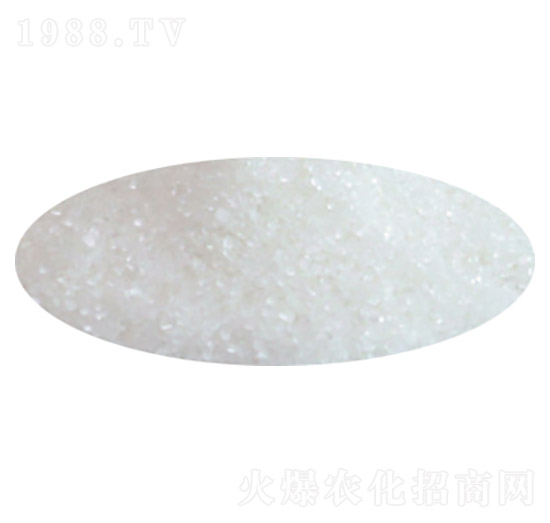 ���w�������@-ʢ��ʘI(y��)