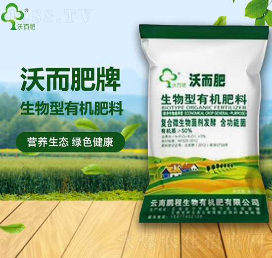 �������ЙC(j��)����-�ֶ���-�i������