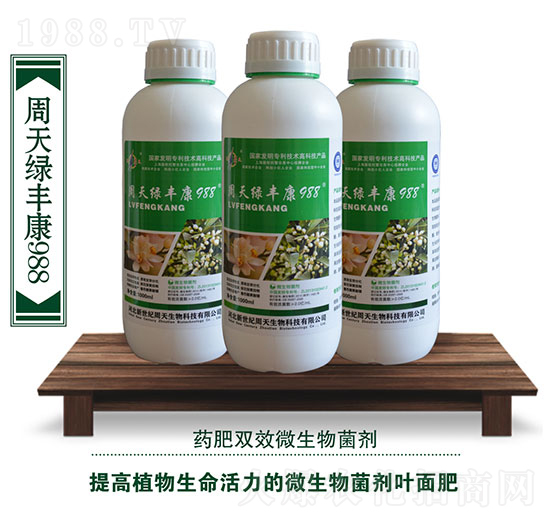 ����G�S��988�~���-��������