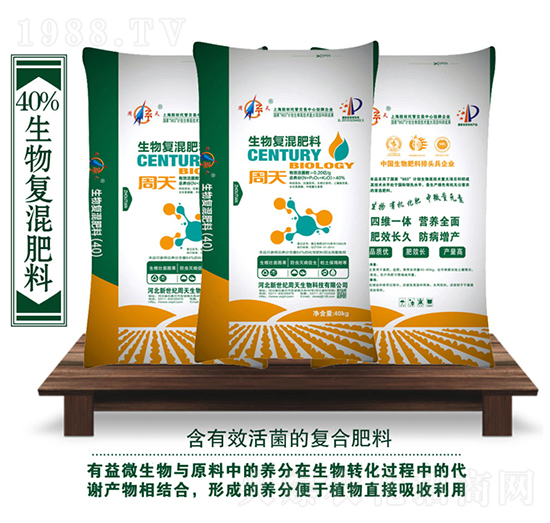 40%�����(f��)�����-��������