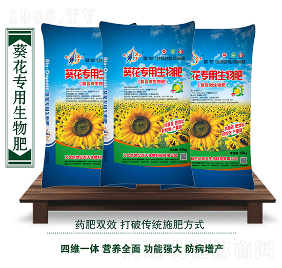 ������(zhu��n)�������-��������