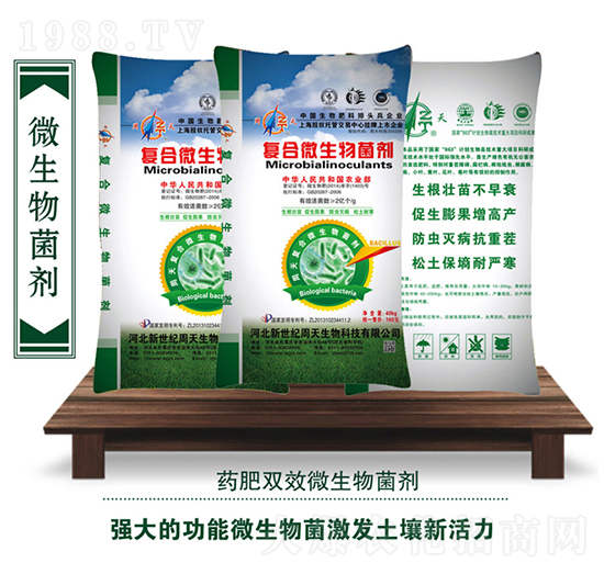 �ͺ�΢���������2�|��-��������