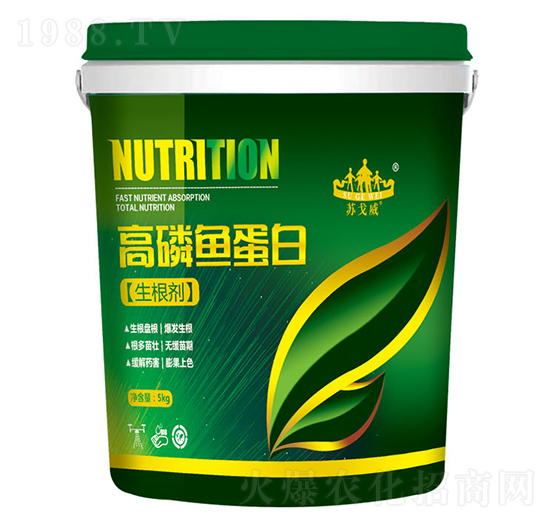 �����~����-ɽ�|�������