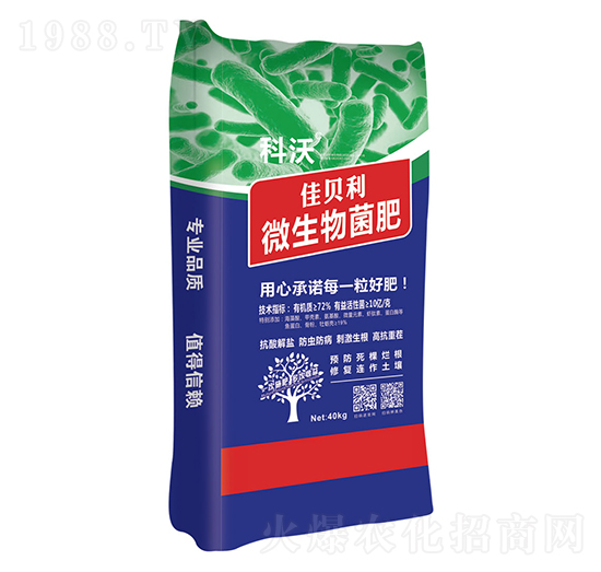 ��ؐ��΢�������-����-ɽ�|�������