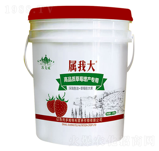 ��Ʒ�|(zh��)��ݮ���a(ch��n)���÷�-���Ҵ�-ɽ�|�������