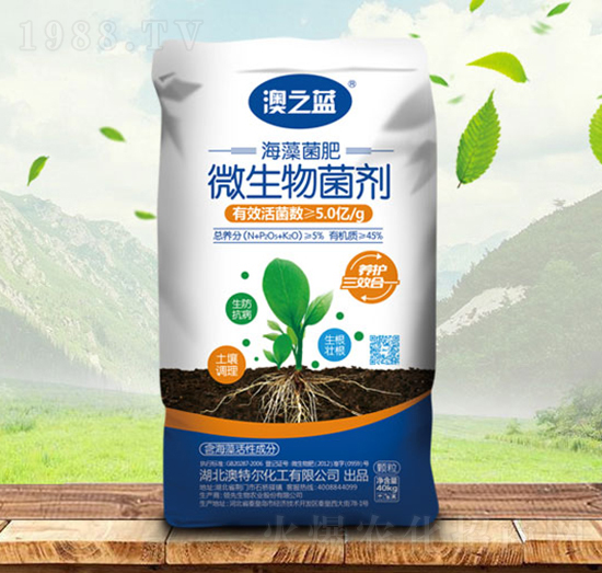 海藻微生物菌肥-澳之藍(lán)-金秋實(shí)農(nóng)資