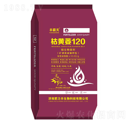 枯黃萎120-豐霸天-肥力豐