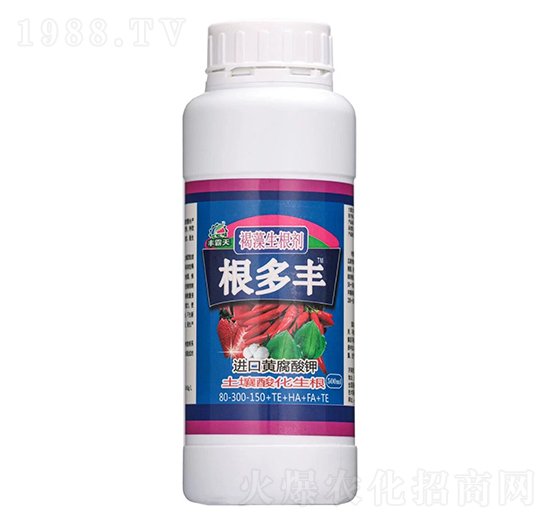 ����������-�����S-�����S