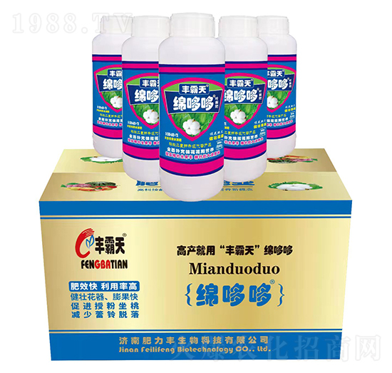 �d�߶��~���-�S����-�����S