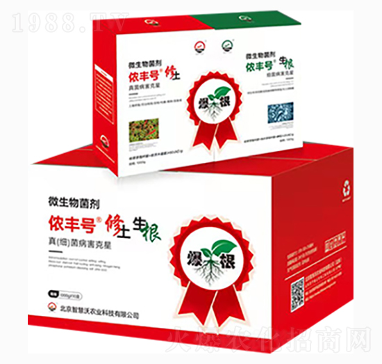 ΢�������-�z�S̖-�ǻ���