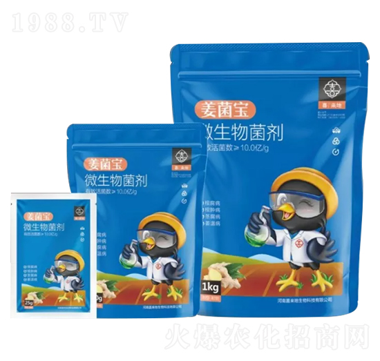 ΢�������-������-ϲ����