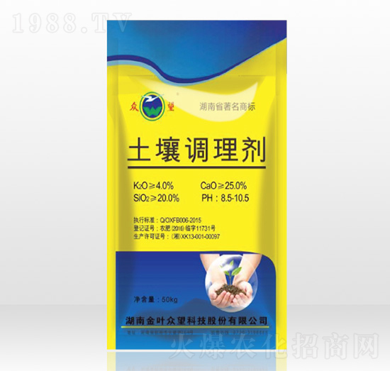 �����{�턩-����